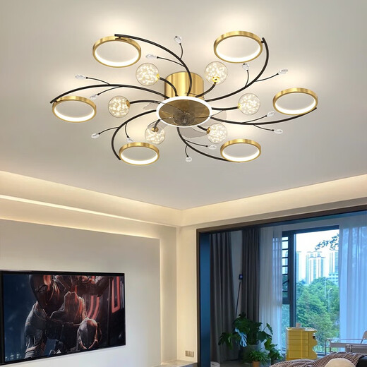 Opple Lighting 2025 Neues Schlafzimmer Lüfter Leuchte Esszimmer Deckenleuchte integrierter unsichtbarer intelligenter Schüttelkopf Einfacher Hauptraum 5012 Schwarzschüttler Kopf 50 cm Schüttelscheibe