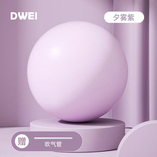 Diwei Pilates Ball Pregnant Women Postpartum Exercise Mini Yoga Ball Thickened Explosion-proof Butt Ball Home Sports Fitness Ball Xiwu Purple Upgraded Explosion-proof 25cm