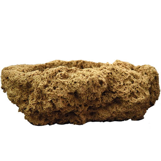 Stone flowerpot absorbent stone water stone original stone natural flowerpot with asparagus bamboo and calamus succulent plant micro landscape pot 13-17cm stone pot + tiger beard calamus package 2