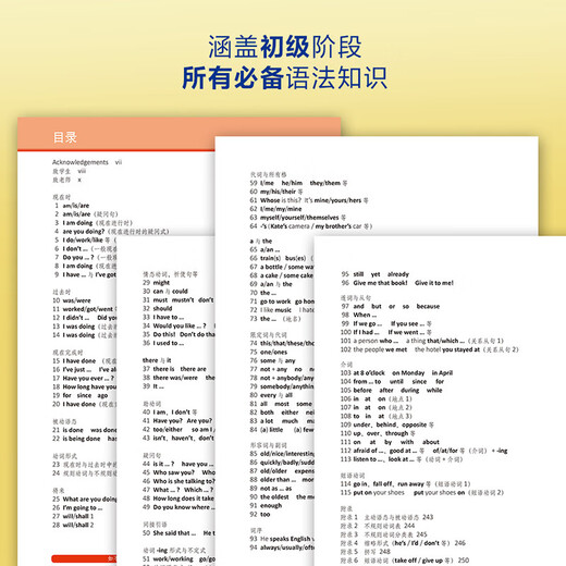 Kostenloses Video-Tutorial zur Cambridge Elementary English Grammar, vierte Auflage, chinesische Version, English Grammar in Use, English in Use