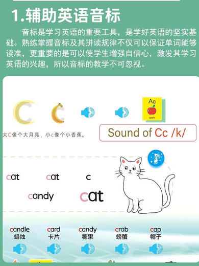 笑炎儿童26个英文字母点读书幼儿早教英语单词学习机中英双语有声绘本 早教识字点读书--充电款