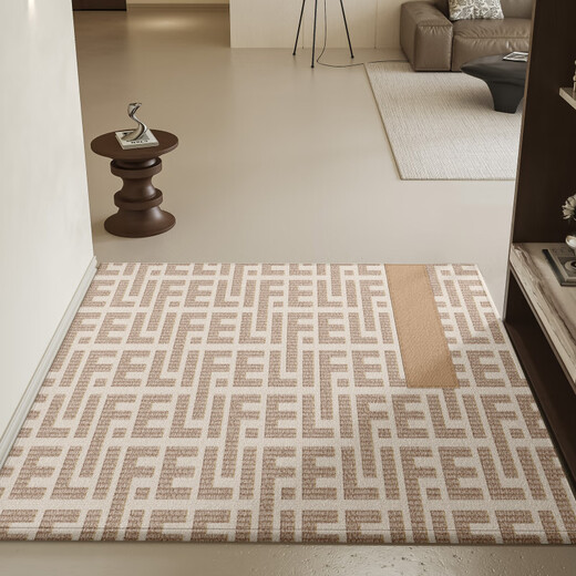 织梦行云轻奢高级感入户门地垫入户2025新款进门大门口防滑加厚地毯家用耐 丹瑶-16859 140cm*200cm【加厚升级 品质保证