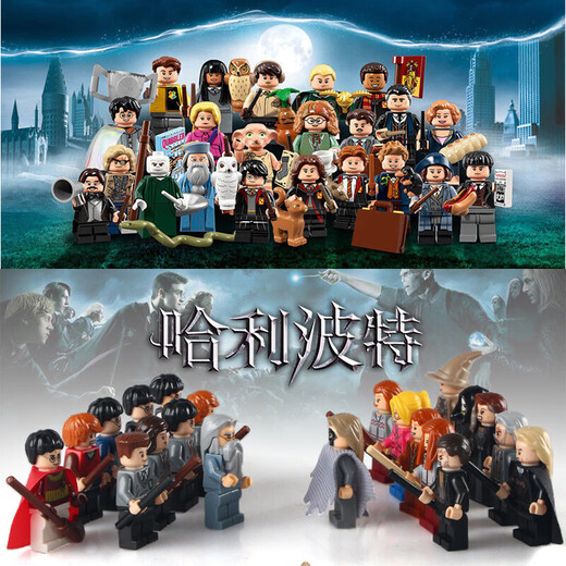 Ukan compatible LEGO Chinese building blocks Harry Potter new style Voldemort magical excitement full set of Philosopher's Stone Small Purple WM689-Harry Potter