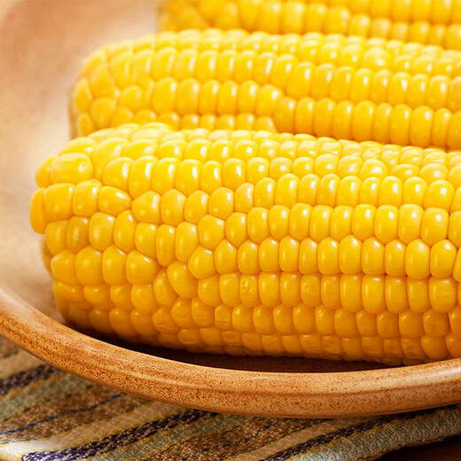 High-quality sweet corn, fresh fruit corn, freshly picked tender corn, sweet fruit corn, nutritious breakfast juice, 1.8-2Jin Jin equal to 0.5kg, with box, 2-3 pieces, starting from 300g/root
