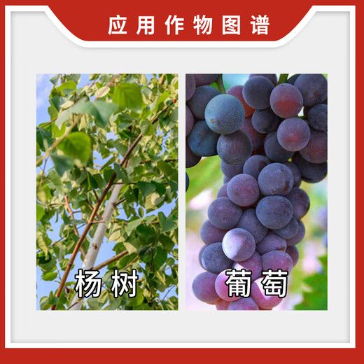 Huizun Huazhi Huizun 5% indole butyric acid naphthalene acetic acid poplar grape regulating rooting and growth regulator soluble agent 10g