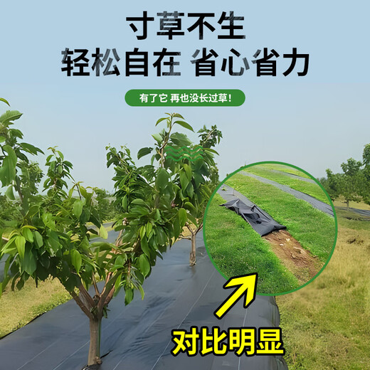 Agricultural grass-proof cloth, weed-killing cloth, agricultural ground cloth, fruit tree cover cloth, grass cover cloth, black mulch film, durable punched slices, anti-aging fruit tree special punched slices, 20 slices of 1.5*1.5 meters, free closing nail