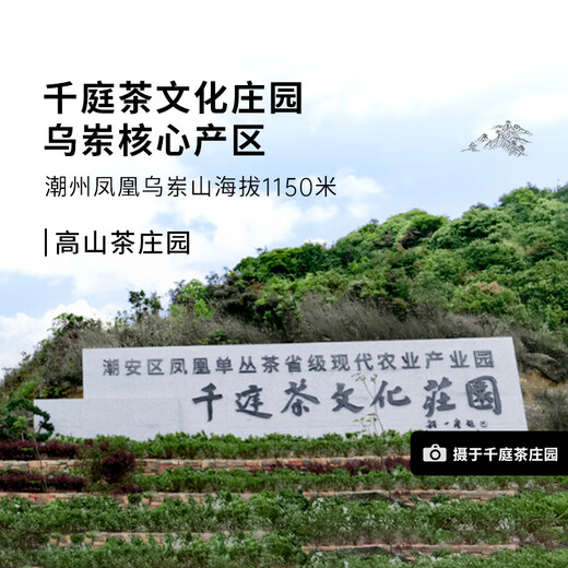 千庭单丛特级鸭屎香茶叶 潮州乌岽高山单丛乌龙茶50g 庄园鸭屎50g 50g