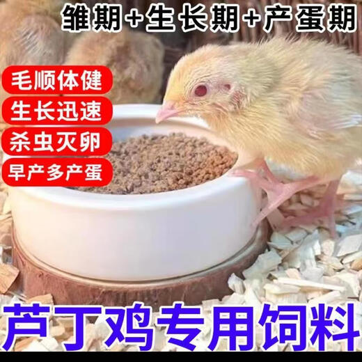 Special feed for rutin chickens, rutin chicken egg production feed, mealworm brooding feed, quail feed, high protein 10Jin Jin is equal to 0.5kg, egg production food containing mealworms, dried vegetables