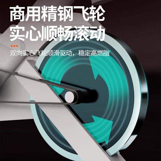 DZQ 动感单车磁控健身车家用室内健身车居家静音健身房锻炼器材脚踏 简配款-无电子表-无心率监测