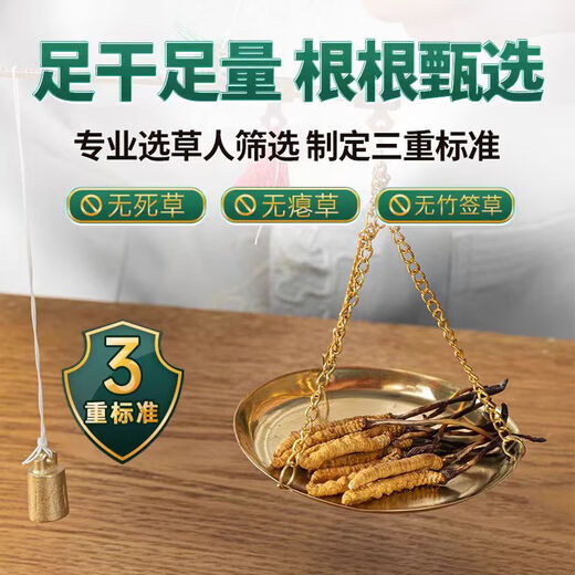 藏芝翁高海拔冬虫夏草精选头茬干虫草高端滋补礼盒送长辈送领导送客户 3根/克共100克【高端礼盒，健康品质】