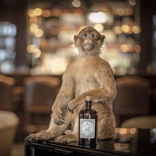 MONKEY 47 Monkey King 47 Monkey King Gin Monkey Black Forest Dry Gin German Monkey Gin 47 One bottle per size 500mL 1 bottle