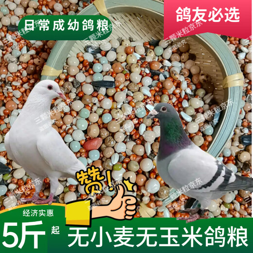 New pigeon food 20 Jin Jin is equal to 0.5 kg. Corn-free pigeon food with corn pigeon feed racing nutrition pigeon food for adult and young pigeons 5 Jin Jin is equal to 0.5 kg. No wheat and corn high-quality pigeon food 20 Jin Jin is equal to 0.5 kg.