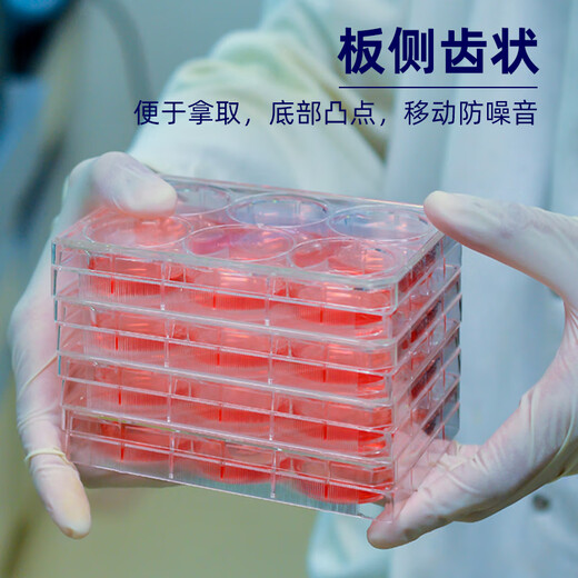 康宁细胞培养板6孔12孔24孔48孔96孔带盖细胞爬片培养皿 康宁352424孔1个