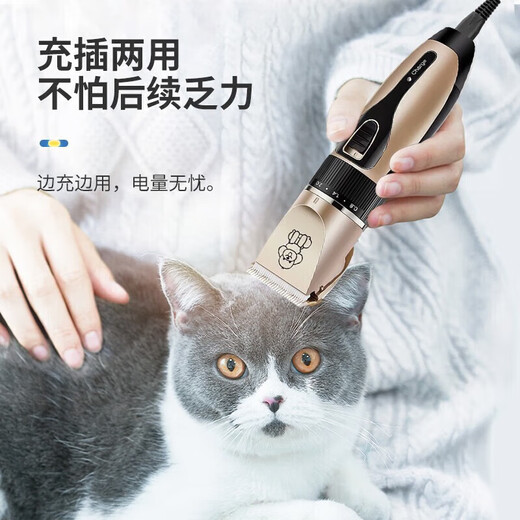 Zhizhou pet shaver, dog shaver, pet professional shaving tool, electric clipper, cat foot shaver, pet electric clipper, upgraded model comes with standard TPC interface