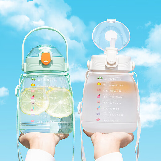 Tuanqi Water Cup Women's grande capacité Style d'été Paille Paille à haute température Big Belly Cup Special Special Kettle Plastic Cup ZKBHSL-12159 Transparent 400 ml Strip Style
