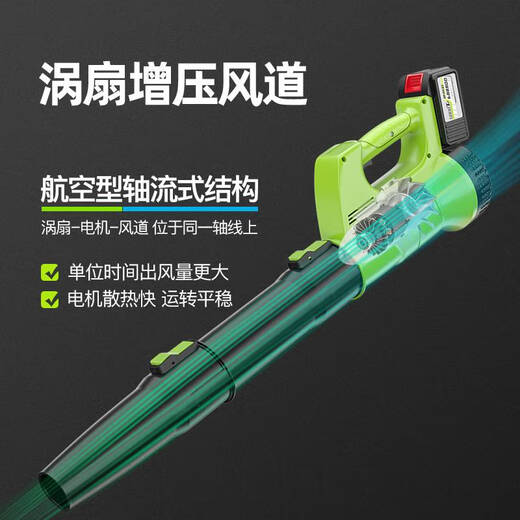 Ni Zhier Custom Snow Blower Rechargeable Lenchable Hair Dryer High Power Industrial puissant Soot Blower Lithium Batter Storm Gun DLS Charging Storm 3888TV One Electric One Charge [6
