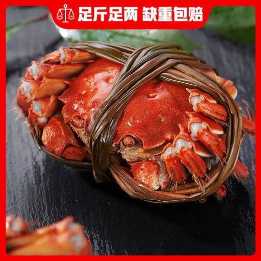 【礼盒装】公母对鲜活蟹黄世家兴化红膏大闸蟹当天发货次日达包邮 公3两+母2两 5对10只