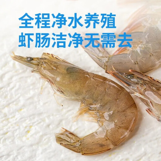CP Food (CP) Antibiotic-free selenium-rich amber shrimp white shrimp (51/60) 1kg/box