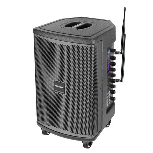 TEMEISHENG JT10-66 outdoor musical instrument road show karaoke high-end electric acoustic guitar saxophone playing and singing live sound box 10 inches + 2 metal microphones + T22 wired microphone free luxury gift package