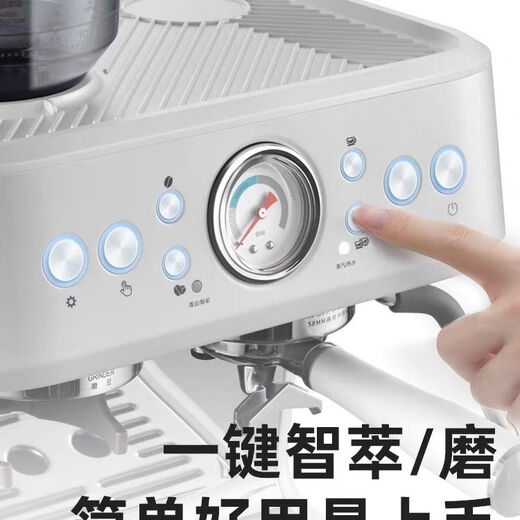 柏翠双锅炉意式全咖啡机家用奶泡机研磨一体机小型 PE3899 3899+大礼包