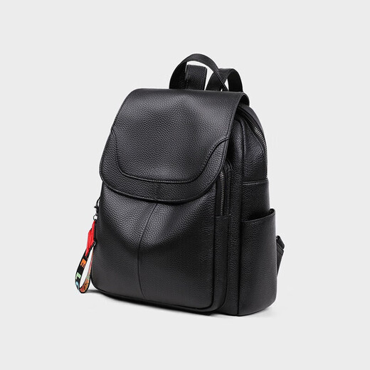 Anysmic International Light Luxury Brand Bag Women's Back's Backpack Women's 2025 New Fashion Lightweight Travel grande capacité Backpack Black (cadeau)