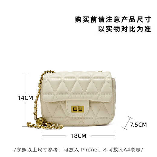 卓诗尼女包2025新款时尚百搭单肩斜挎包女高级感手提包小众设计 白色