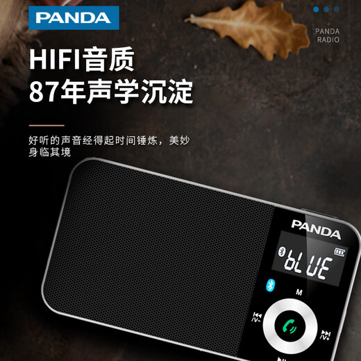 熊猫（PANDA）6210蓝牙收音机老人专用便携式多功能小型袖珍FM调频广播老年人可充电插卡小音箱随身听新款播放器 黑色+8G内存卡+3C充电头