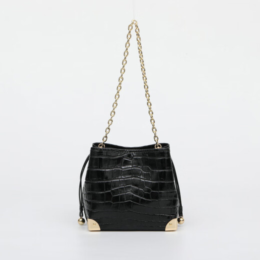 ANYSMIC官方正品包包奢侈品牌女包2025新款鳄鱼皮斜挎包女士包送女友老婆 黑色【礼盒包装】