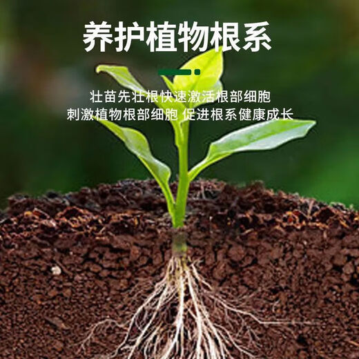 Powerful Rooting Powder Rapid Rooting and Seedling Strengthening Agent Rooting Powder Rapid Rooting Powerful Rooting Liquid Rooting Powder for Transplanting Rooting Powder 1 Jin Jin is equal to 0.5 kg, 1 pack