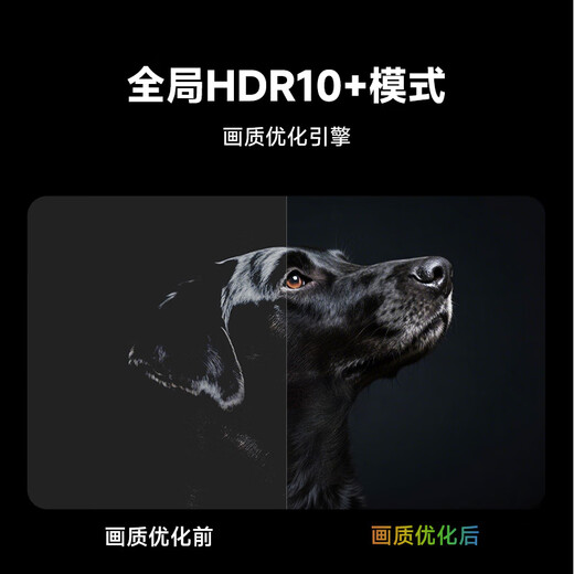当贝电视盒子H5 Pro 8K电视网络机顶盒 高能芯片 4+64G 双频WiFi6 杜比全景声 HDR10+ 无开机广告