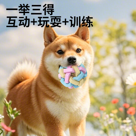 Zanpet Macaron Braided Bell Ball Dog Toy Ball Relief Teething Toy Pet Interactive Training Supplies