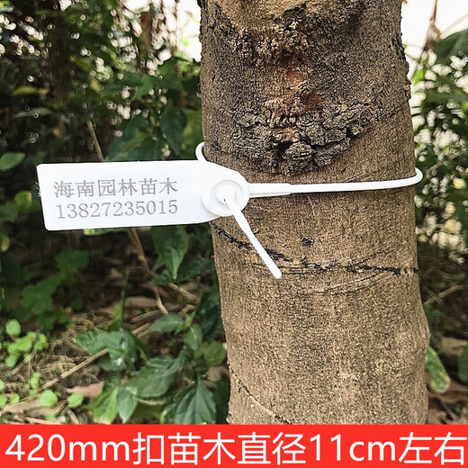 One-time customized garden seedling seal number tree extended plastic seal label tag 42CM50CM60CM steel wire 80cm red 100 pieces