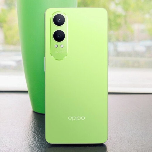 OPPOK12x骁龙695处理器6.67英寸120Hz刷新率5000万像素5500mAh 凝光绿 套餐一 12GB+256GB