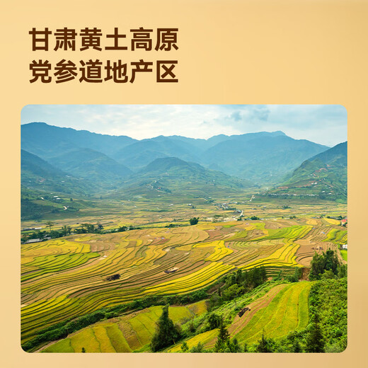 
JD.com made in JD.com with angelica + Codonopsis + Astragalus combined with Gansu water-soaked health tea and soup to replenish qi