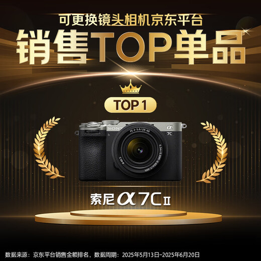 Sony (SONY) Alpha 7C II full-frame mirrorless camera, creative appearance filter, silver, single body (a7c2/A7C II/A7CM2)