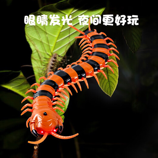 奇森（QISEN）儿童解压神器玩具仿真遥控蜈蚣蛇小男孩女孩5网红抖音黑科技动物2 经典版-遥控蜈蚣黄黑款9901+螺 官方标配