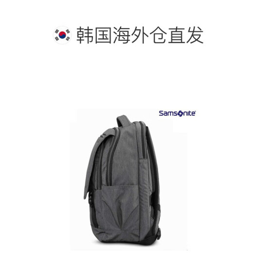 Samsonite Japan Direct Mail / Universal Women's Bag / Mackpack Style Fashion All Size