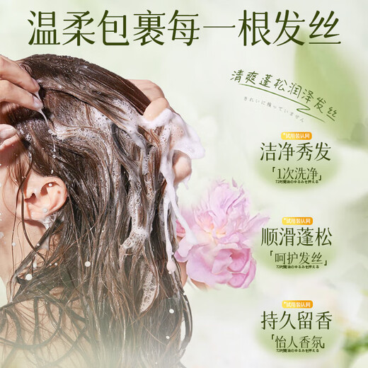 [Camellia Fragrance] Le shampooing de camélia élimine les pellicules et contrôle l'huile duveteuse et le parfum durable pour nourrir l'hydratation et hydrater des camélia de grande capacité [3 bouteilles de shampooing + 2 bouteilles de gel de douche]