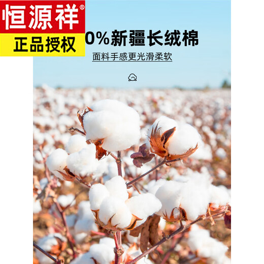 恒源祥纯棉免烫白衬衫男商务休闲2025秋款轻奢正装 长袖6622蓝条(纯棉免烫) 38