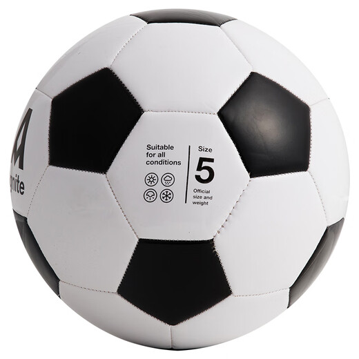 Agnite Football F1203 PVC regular 11-man machine sewing football No. 5 standard ball Send ball net F1203-classic black and white football No. 5 ball (regular 11-man machine)