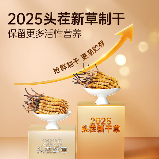 Ayishe Wild Cordyceps 10 Gramm Cordyceps sinensis, Tibet Nagqu Cordyceps Gesundheitsnahrungsergänzungsmittel kostengünstige Familiennahrung