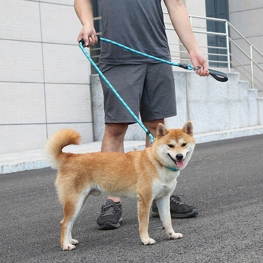 Spico dog leash training dog p chain explosion-proof and anti-knot dog walking rope p rope medium and large dog all-in-one dog leash golden retriever rotating handle 1.8 meters reflective double grip P chain black M (rope thickness 10mm, recommended weight 10-40Jin Jin equals 0.5kg)