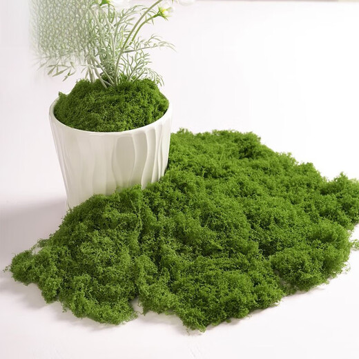 Runhuanian imitation moss landscaping fake moss yarn turf green plants micro landscape plant decoration artificial bionic lawn paving filamentous moss light green 50g can be paved 30*60cm