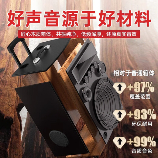 NINTAUS square dance audio subwoofer mobile outdoor karaoke rod microphone speaker amplifier microphone stall speaker N12-9 upgraded model with high power, loud sound and wider coverage 2 microphones + U disk