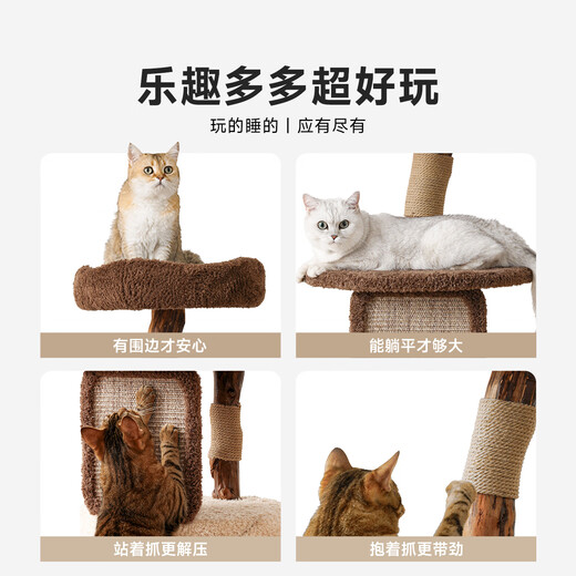 Beast brand cloud solid wood cat climbing frame small apartment cat frame with nest cat scratching post cat shelf cat tree cat nest cat scratching board integrated small tree house solid wood pillar + large nest