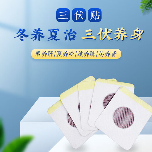 三伏贴 艾灸热敷贴 冬病夏治三太艾灸发热贴 家用肚脐贴艾草贴 20贴全周期装【均为袋子散装】