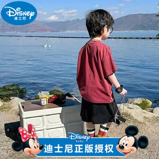 迪士尼（Disney）男童短袖T恤夏装2025新款儿童夏季帅气洋气体恤男孩夏款炸街衣服t 品牌【酒红色-761】 90 cm
