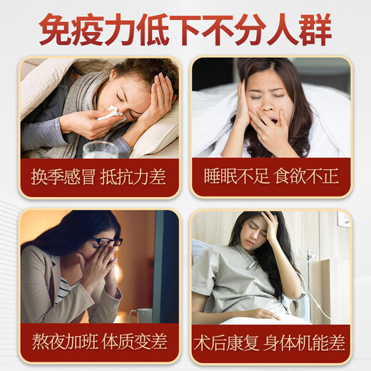 敖东破壁灵芝孢子粉胶囊 0.2g*48粒 增强免疫力老年人营养品保健品 【激活免疫】破壁灵芝孢子粉胶囊 48粒*1盒