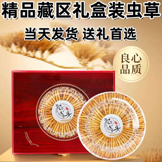 Coffret cadeau Cordyceps avec Cordyceps de haute qualité dans les zones tibétaines sur la livraison et les cadeaux le même jour. Le premier choix est les cordyceps enneigés authentiques à Nagqu, Tibet. 4 Cordyceps à haute altitude en 1 gramme 30 pièces