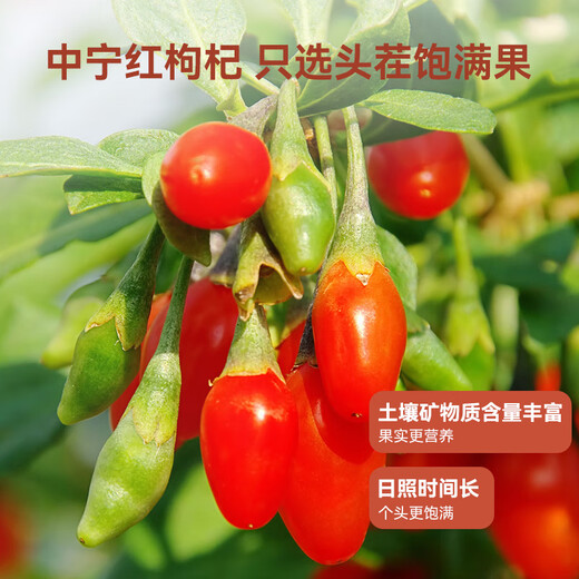 Jd.com Ginseng и Wolfberry Raw Powder 500 мл Ningxia Ginseng Changbaishan Ginseng Double Custing 10 бутылок праздничных подарков
